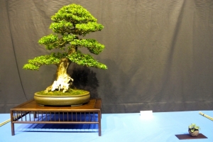 DSCN2031