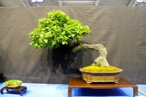 DSCN2033
