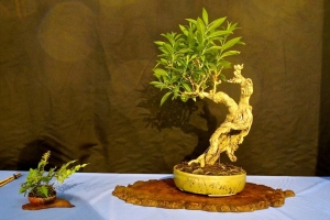 DSCN2047