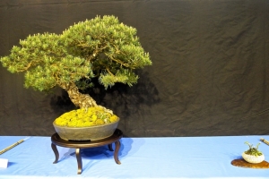 DSCN2050