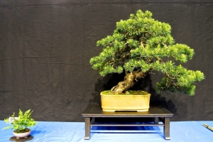 DSCN2051