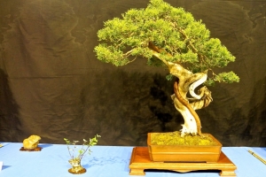 DSCN2055