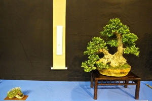 DSCN2062
