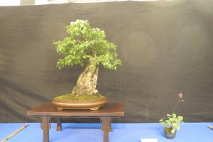 DSCN2072