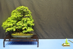 DSCN2076