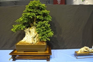 DSCN2083