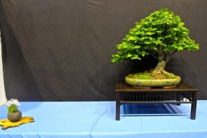 DSCN2095