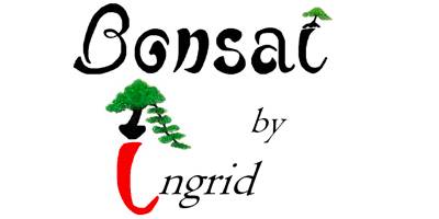 Bonsai by indrid