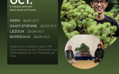 Stage Daïki Abe 19/29 Octobre