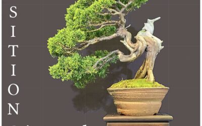 Exposition Régionale Aquitaine à Couzeix les 27 et 28 septembre