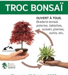 Troc Bonsaï région PACA, 18 octobre 2025