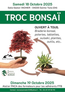 Troc Bonsaï région PACA, 18 octobre 2025