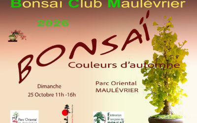 Exposition Bonsaï Couleurs Automne, Club du Maulévrier, le 25 octobre 2026