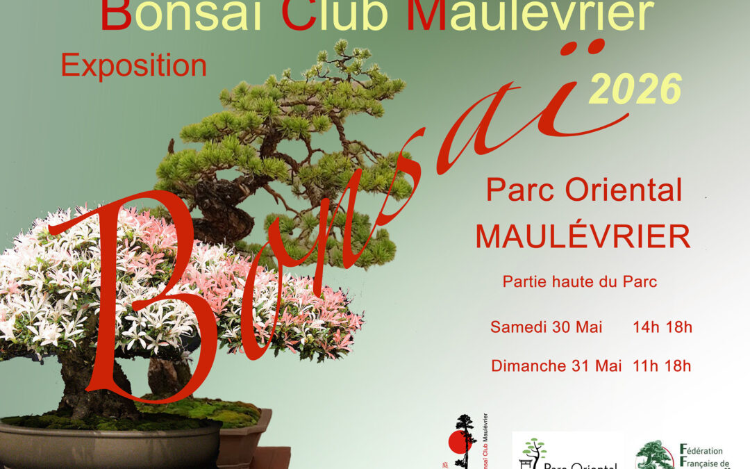 Exposition Bonsaï, Parc Oriental du Maulévrier, les 30 et 31 mai 2026