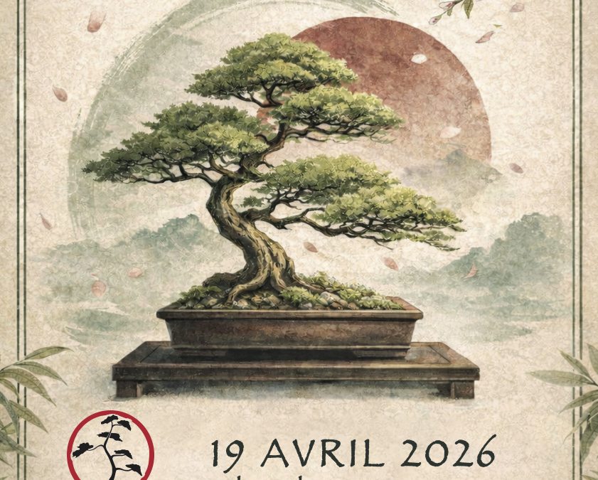 Exposition Bonsaï Langueux, 19 avril 2026
