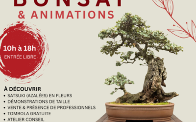 Exposition de Bonsaï, Club de Nantes, 30 & 31 mai 2026