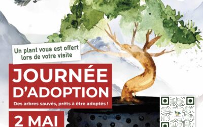 Journée d’adoption de Bonsaïs, le 2 mai 2026, à Provin