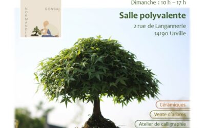 Exposition Bonsaï à Urville, 25 et 26 avril