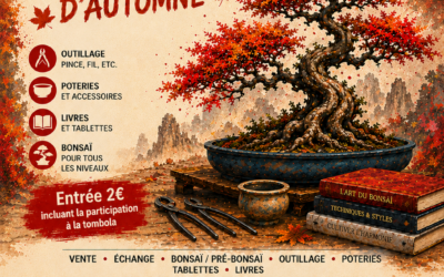 Grande Braderie d’Automne